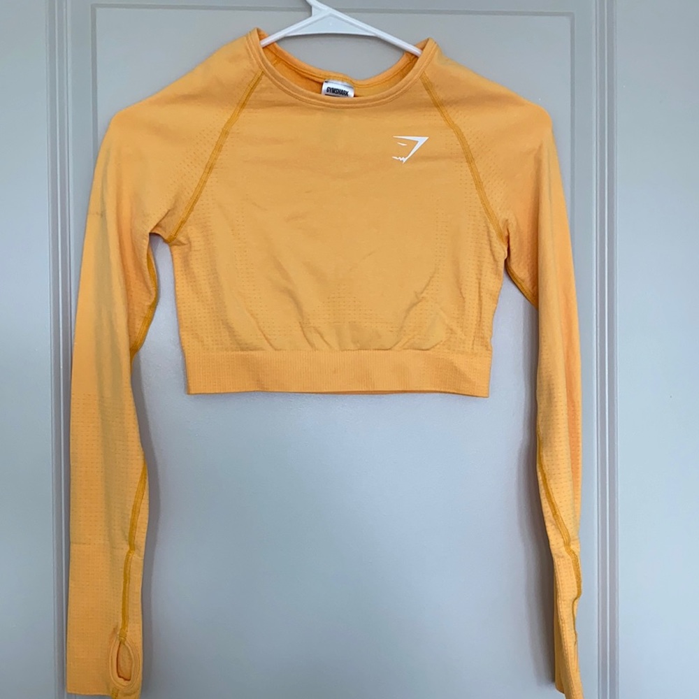 Vital Seamless Long Sleeve Crop